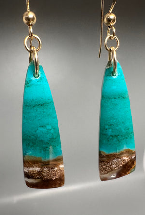 Pair of Opalized Earrings