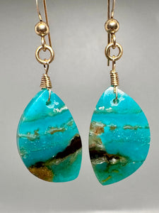 Pair of Blue Opal Earrings