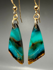 Rare Opal Petrified Wood Drop Earrings