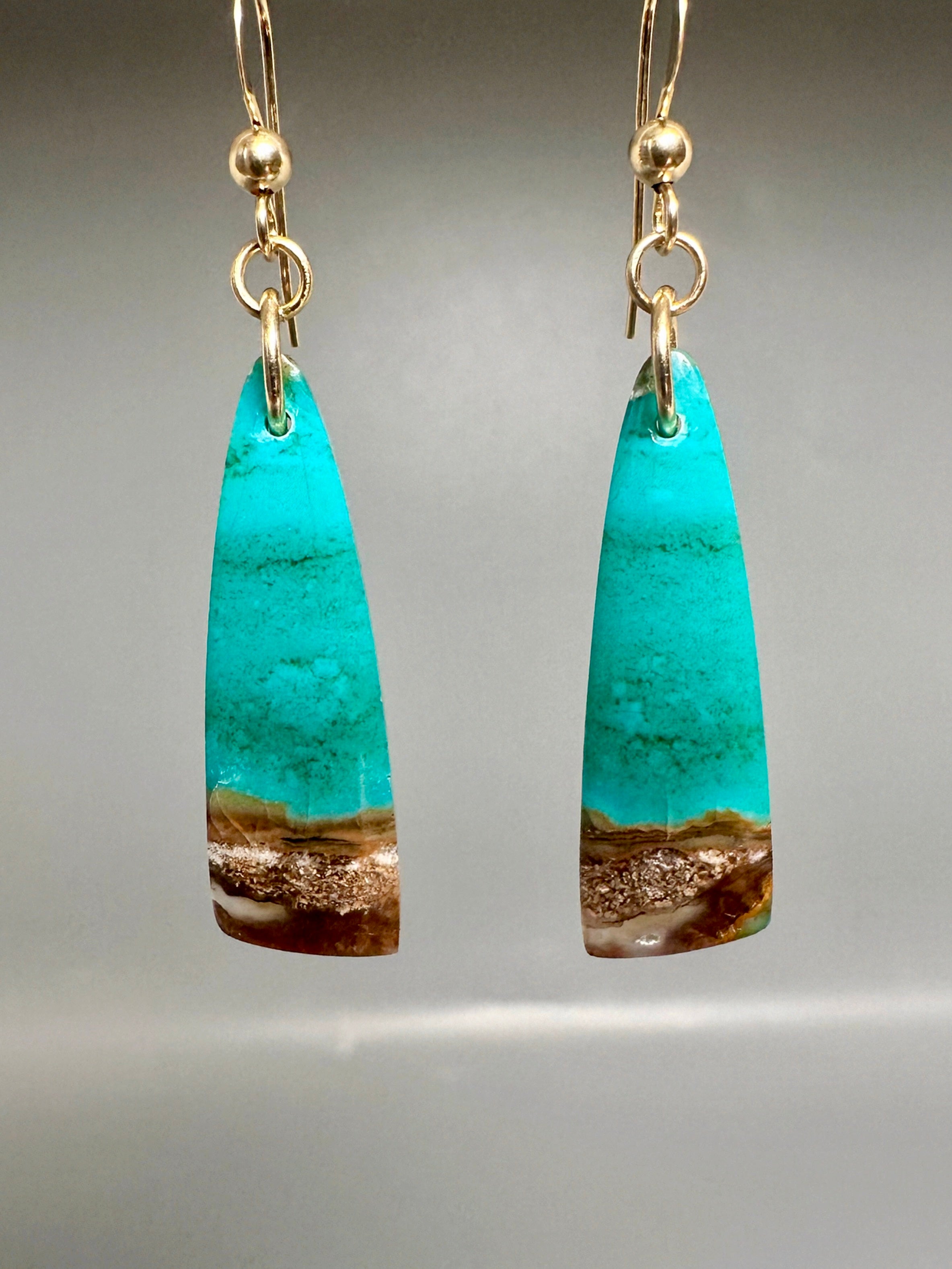 Pair of Opalized Earrings