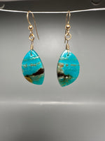 Pair of Blue Opal Earrings