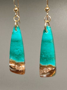 Pair of Opalized Earrings