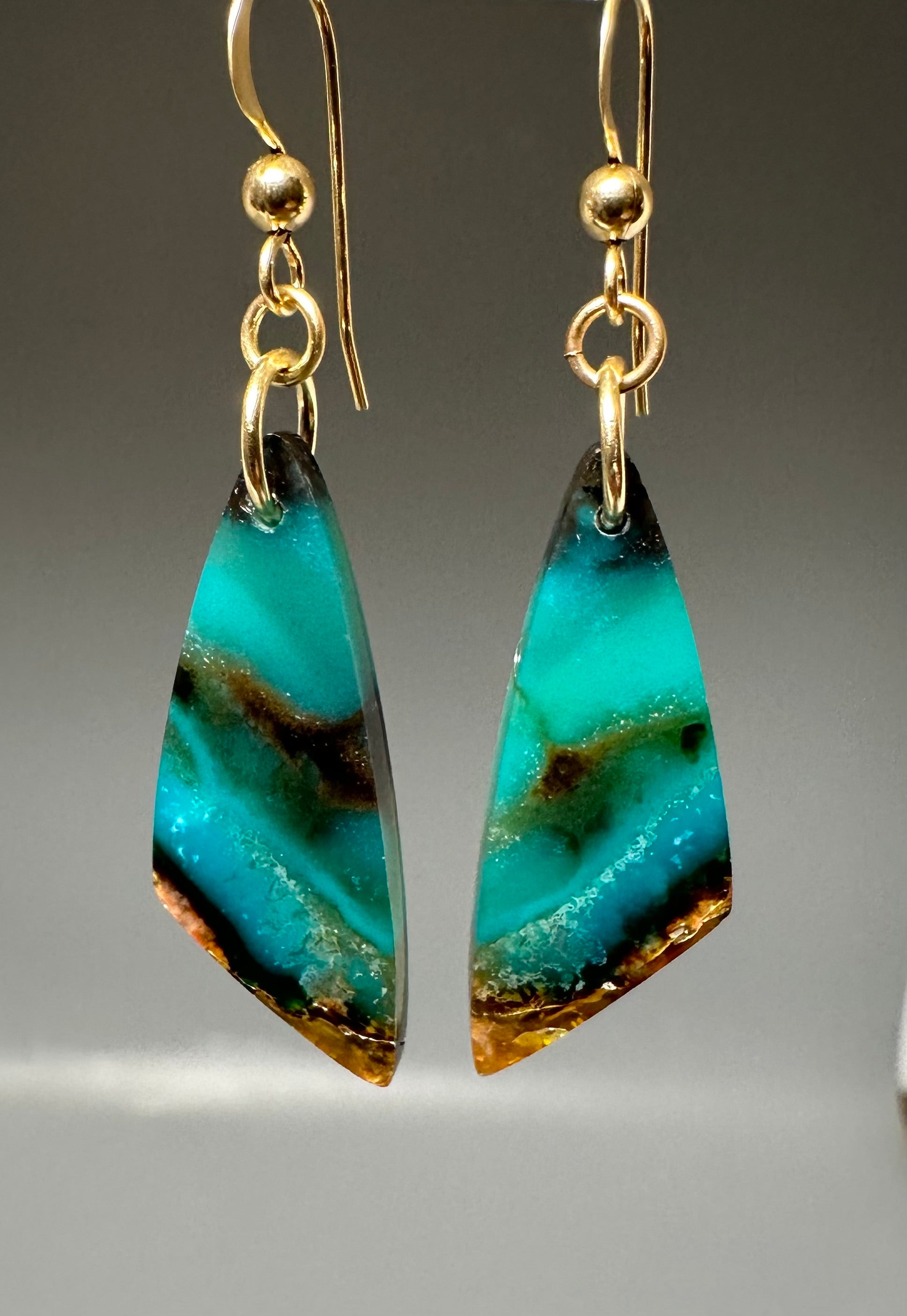 Rare Opal Petrified Wood Drop Earrings