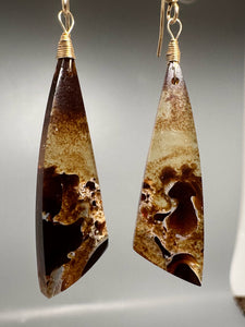 Pair of Amber Earrings