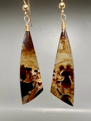 Pair of Amber Earrings