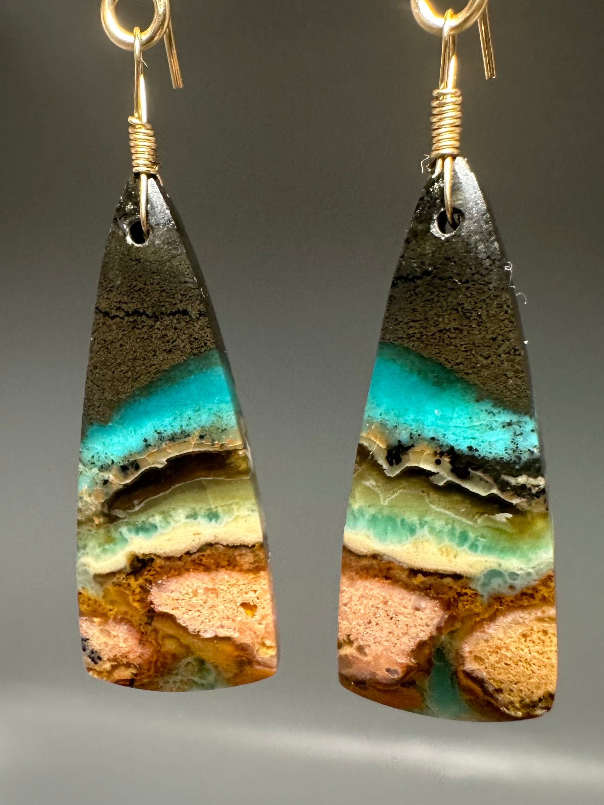 Opal Petrified Wood Drop Earrings