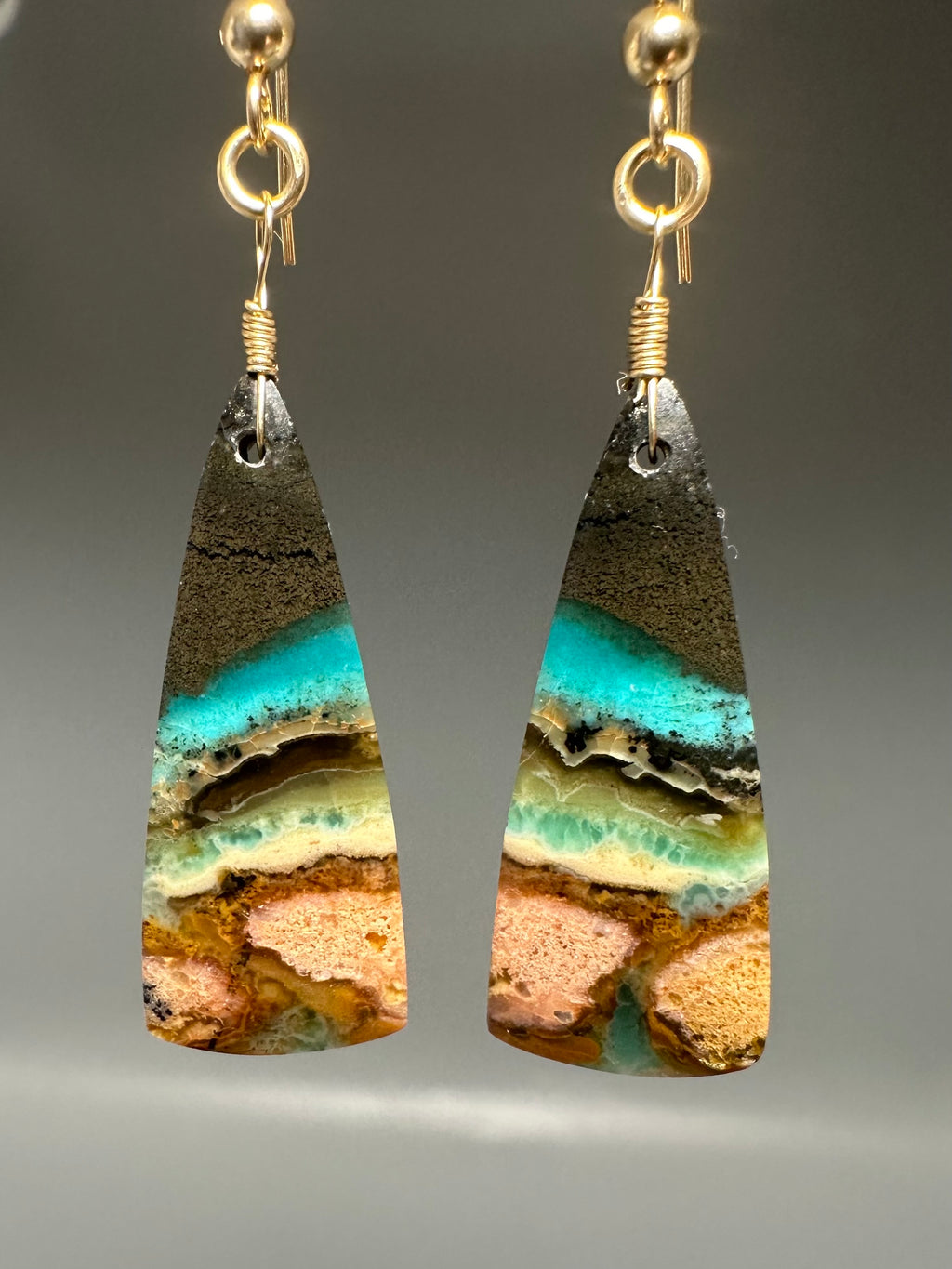 Opal Petrified Wood Drop Earrings