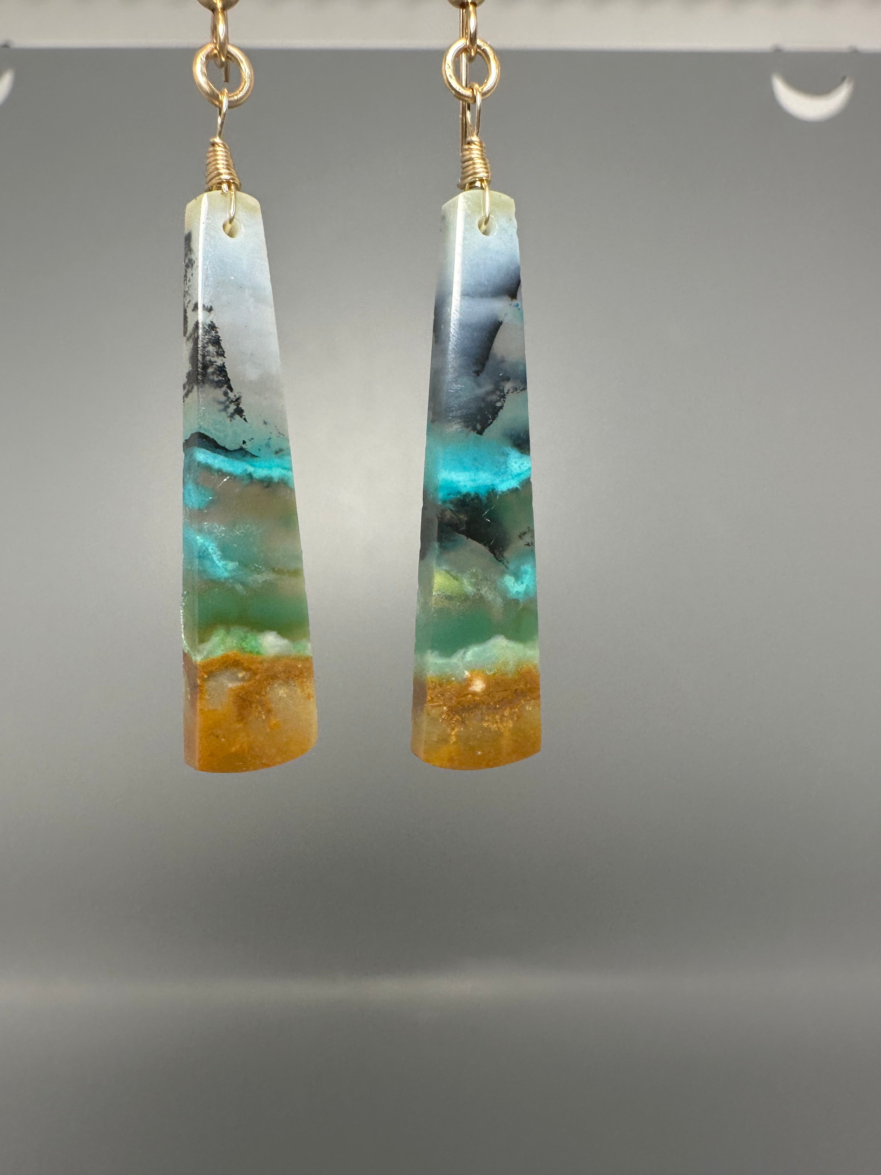 Opal Petrified Wood Drop Earrings