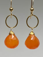 Pair of Carnelian Infinity Earrings