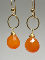 Pair of Carnelian Infinity Earrings